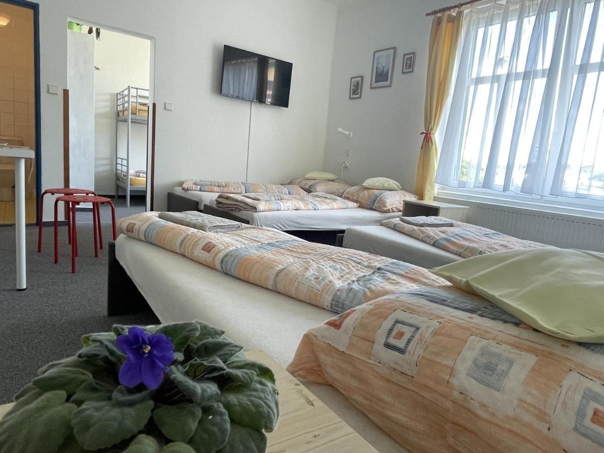Penzion Slunecnice Dvur Kralove nad Labem Exterior photo