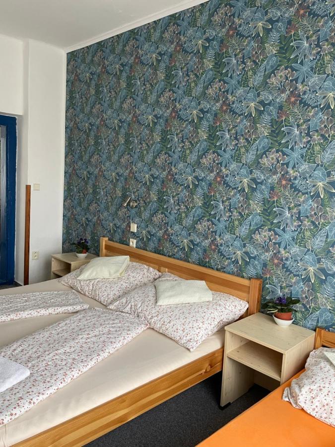 Penzion Slunecnice Dvur Kralove nad Labem Exterior photo